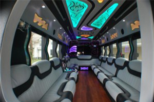 Party Bus Fleet for Rent in Westland Michigan - diamond-international-interior